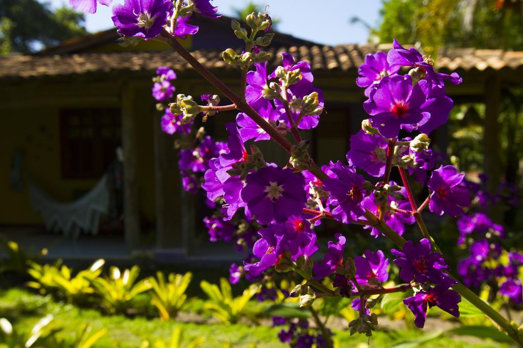 Pousada Casinhas Da Bahia Caraíva Exteriör bild